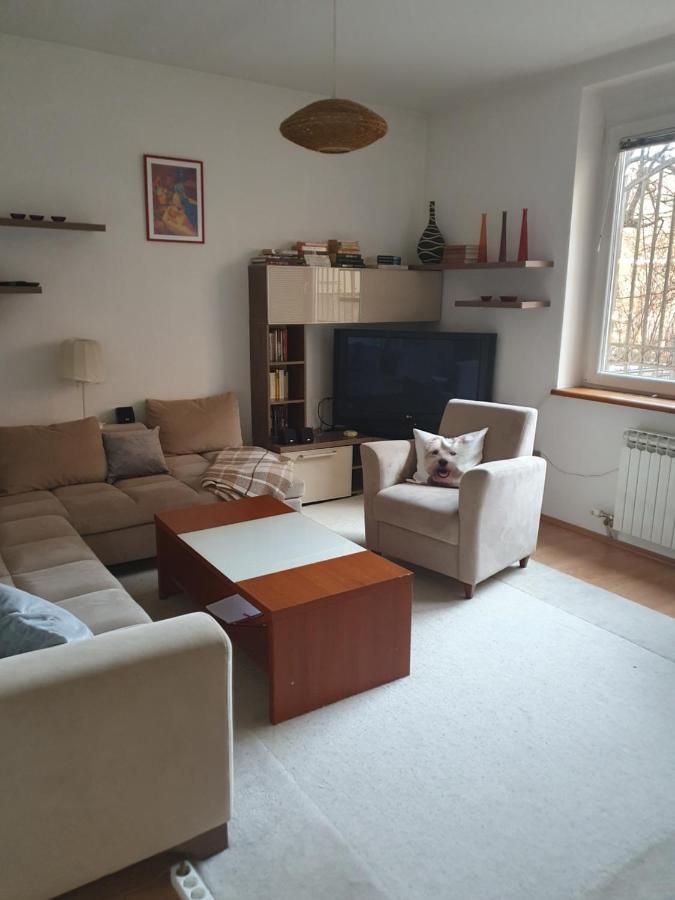 Apartment In The City Center 塞拉耶佛 外观 照片